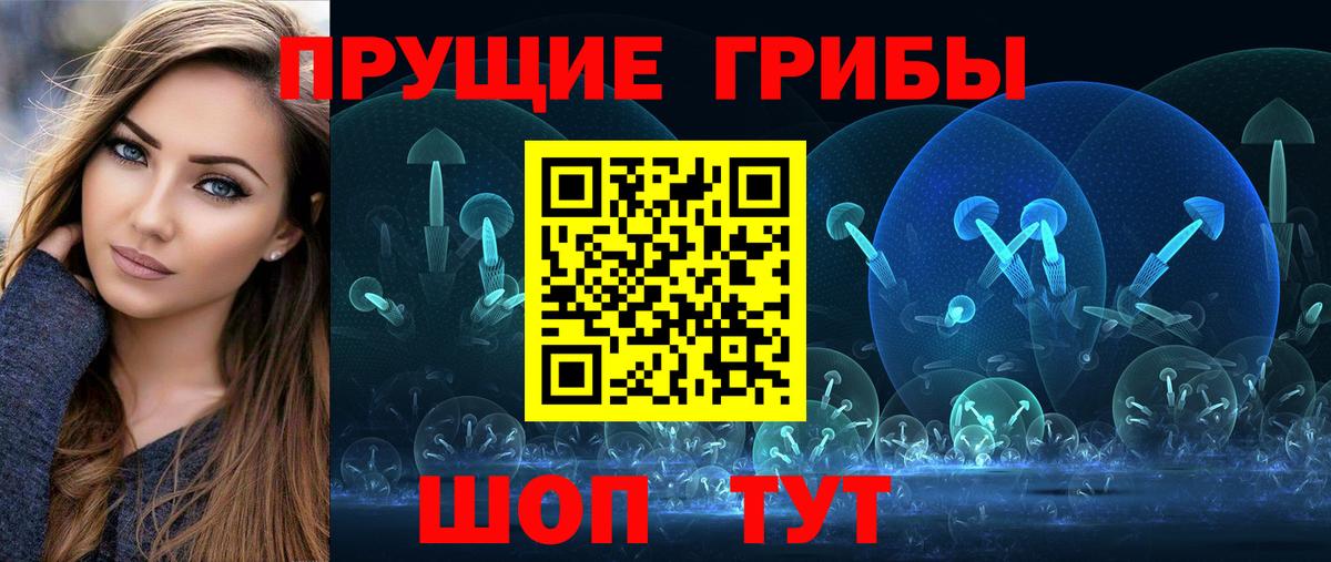 Галлюциногенные грибы Psilocybe Казань
