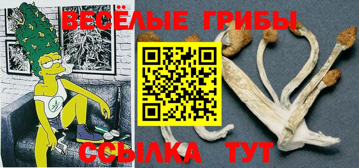 Казань  Галлюциногенные грибы мицелий  Вход с VPN 